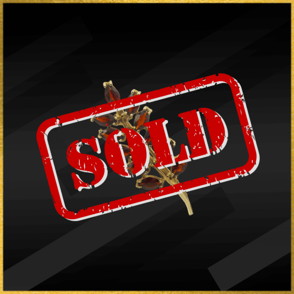 9 Carat Yellow Gold Garnet Brooch