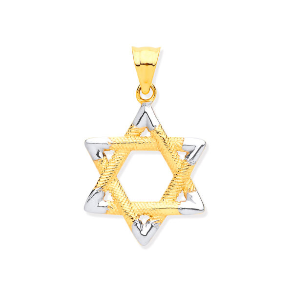 9 carat yellow and white gold star of david pendant